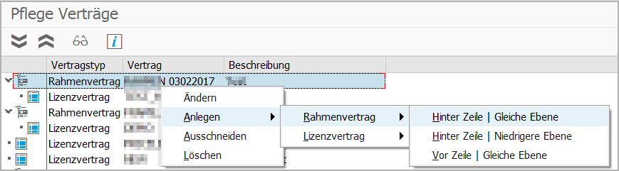 Create_change SAP license contract.png